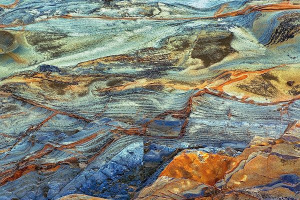 Jones, Adam 아티스트의 Rock pattern in eroded coastline-Shore Acres State Park-Coos Bay-Oregon작품입니다.